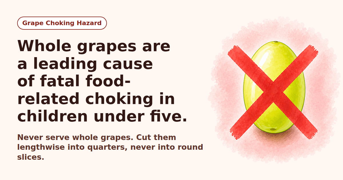 Grape Choking Hazard — What Every Parent Should Know